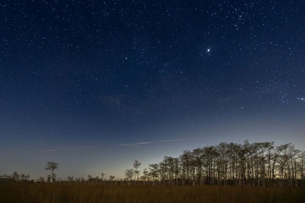 Big Cypress National Preserve