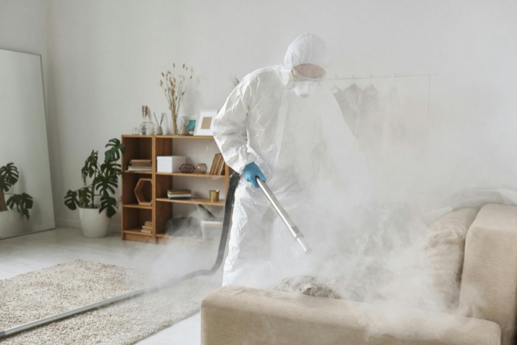 steam cleaning