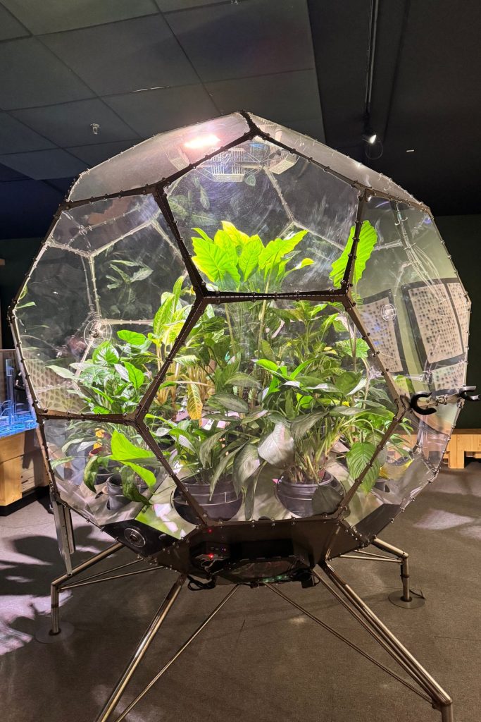 Discover Upper Austria