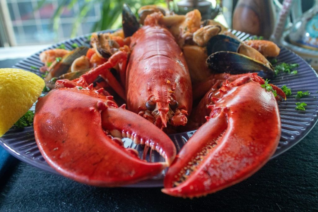 Brighton restaurants