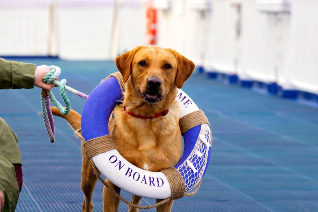 Channel crossings with Brittany Ferries