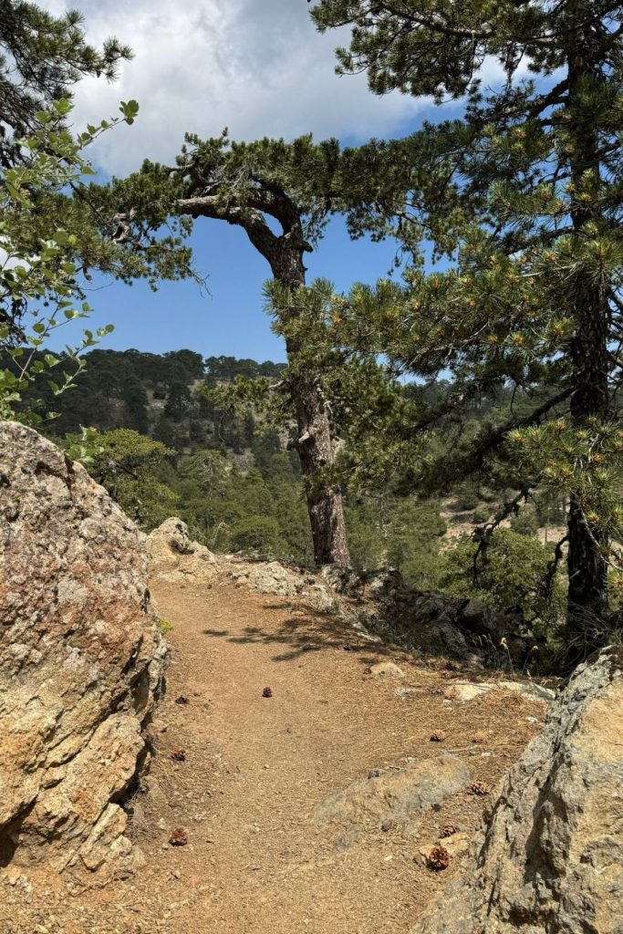 Troodos Mountains Cyprus