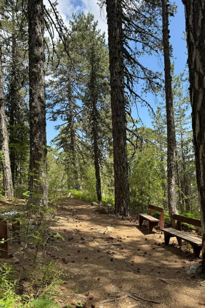 Troodos Mountains Cyprus