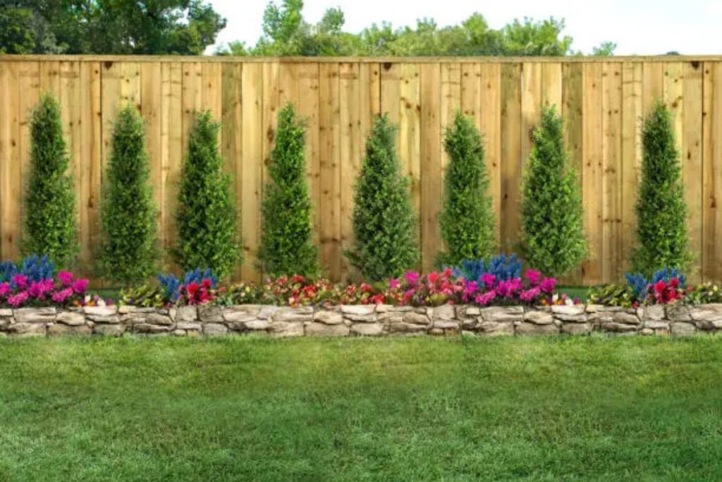 garden fence