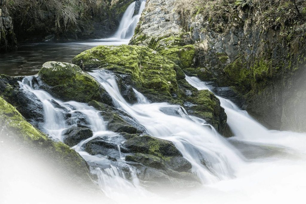 Wenningdales golf day