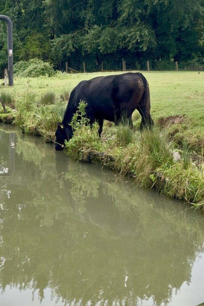 narrowboat canal holiday