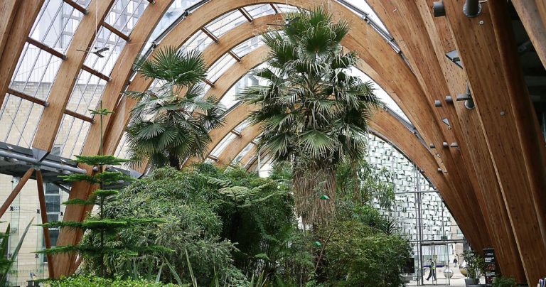 Sheffield Winter Garden
