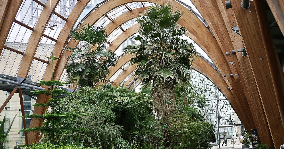 Sheffield Winter Garden