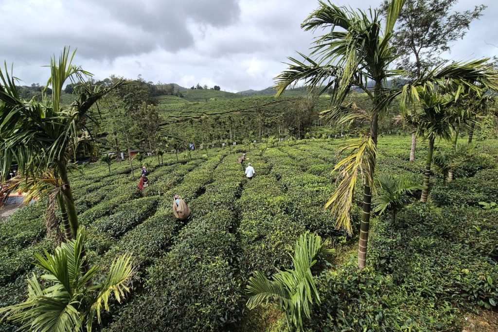 Kerala Southern India
