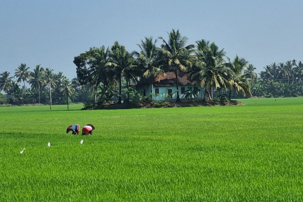 Kerala Southern India