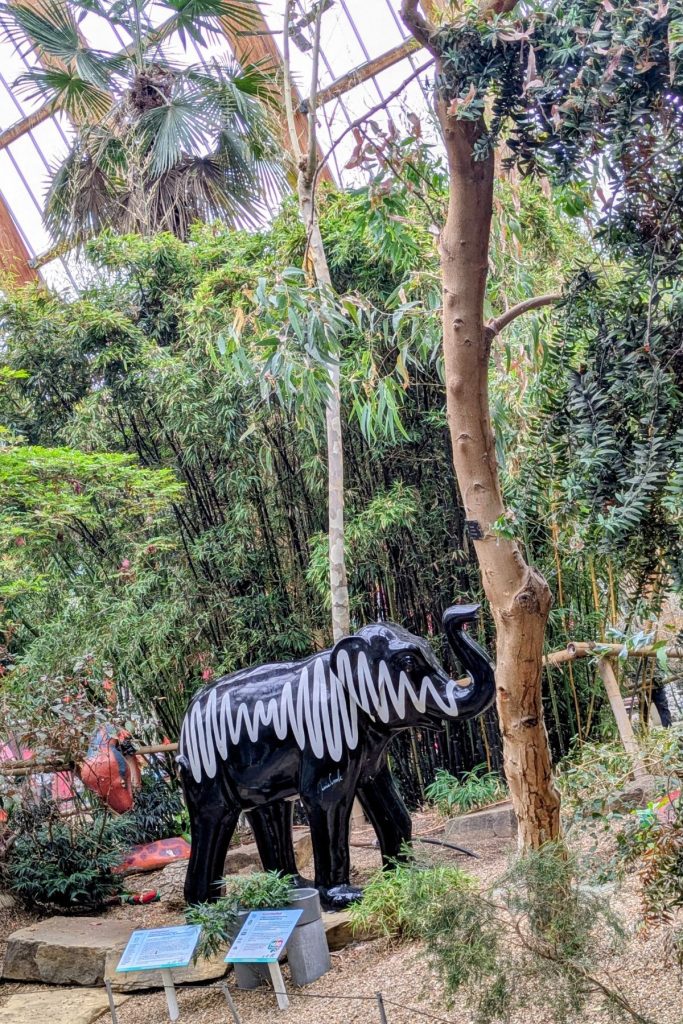 Winter Garden with elephant