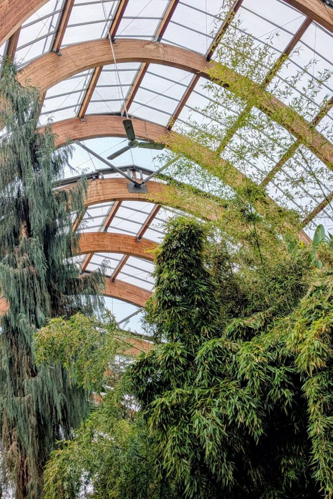 Winter Garden Sheffield - roof