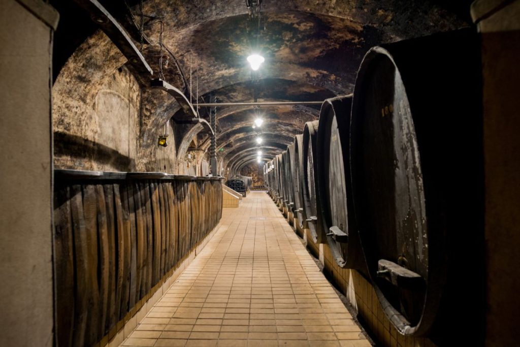 Slovenia for wine lovers