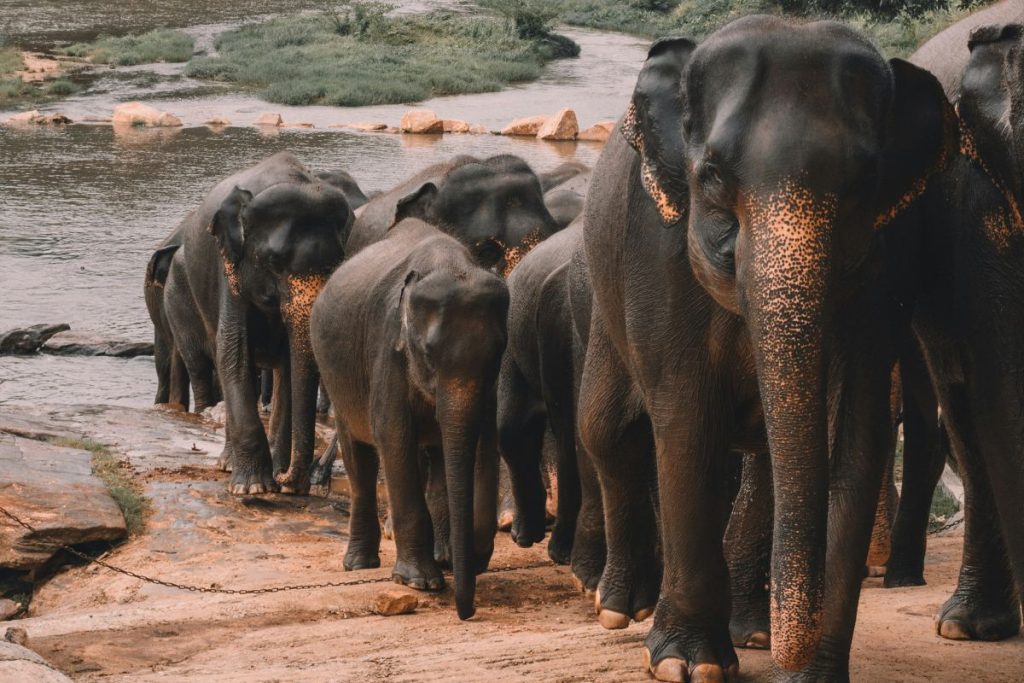 top travel destinations for 2026