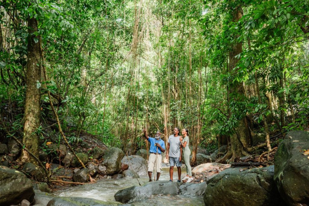 The Wedge Boutique Hotel in St. Kitts