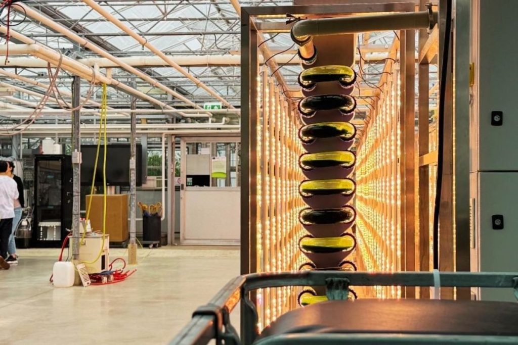 Netherlands shaping the future of our food