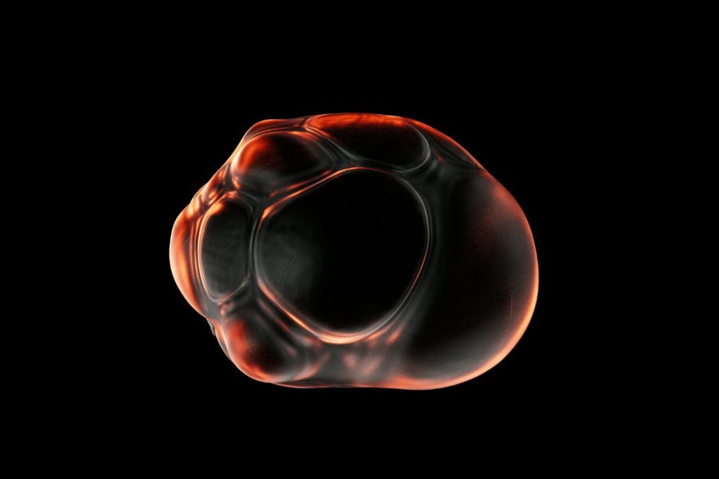 embryo