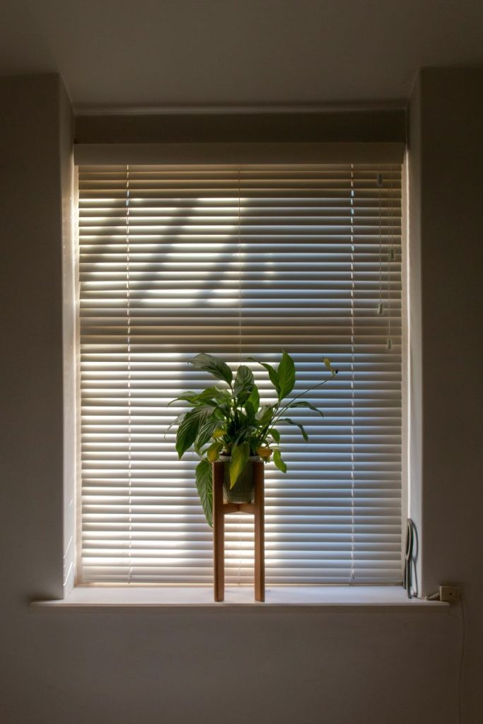 window blinds