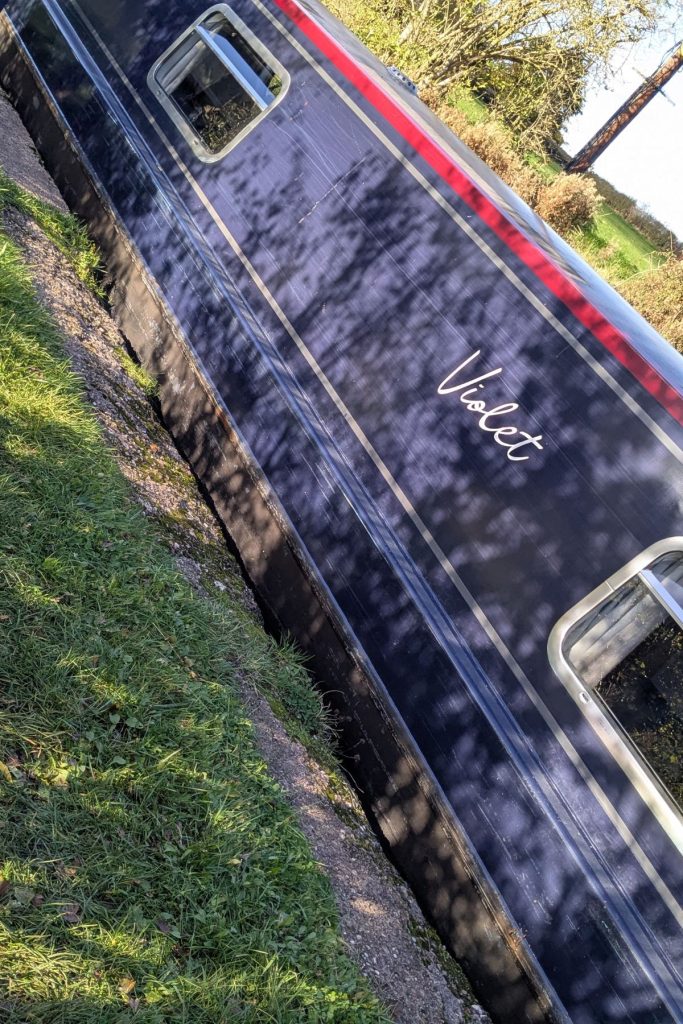 Violet by Black Prince