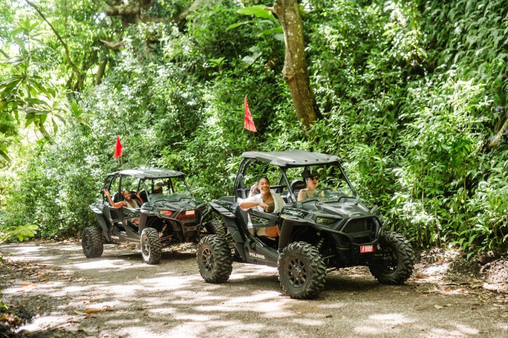 St. Kitts January Sale