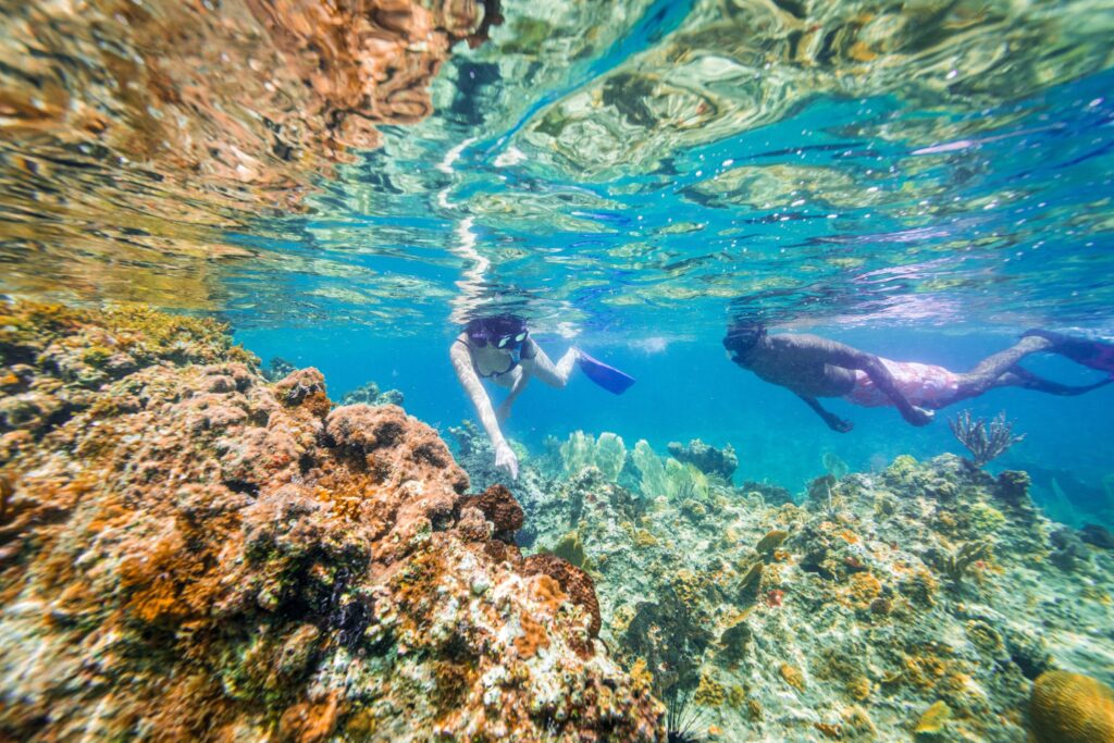 Anguilla news for 2026