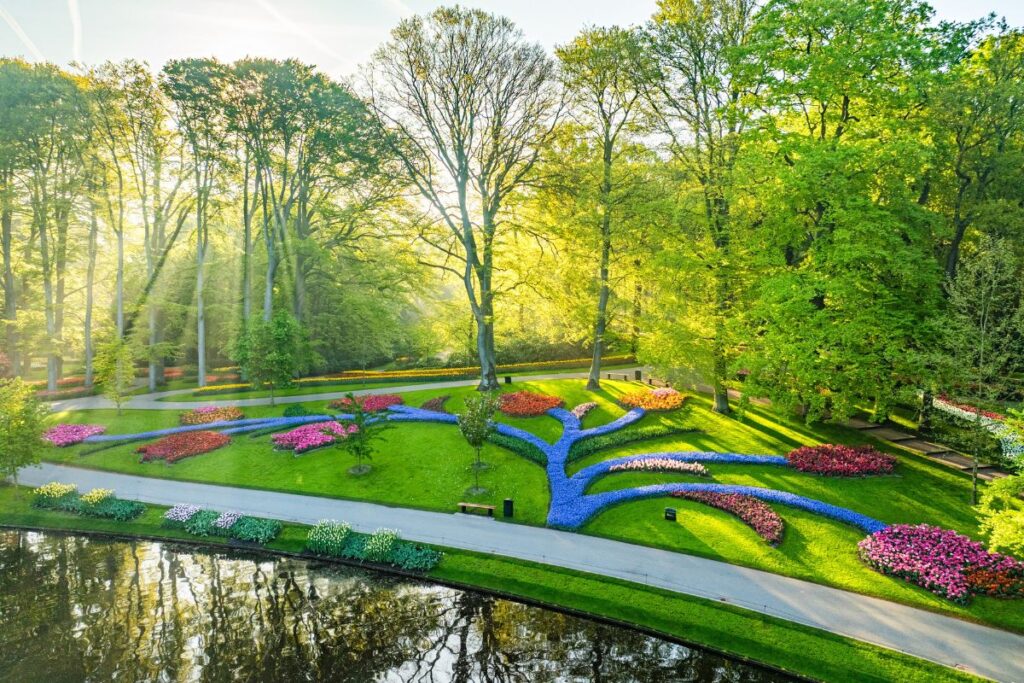 cycling tours Amsterdam