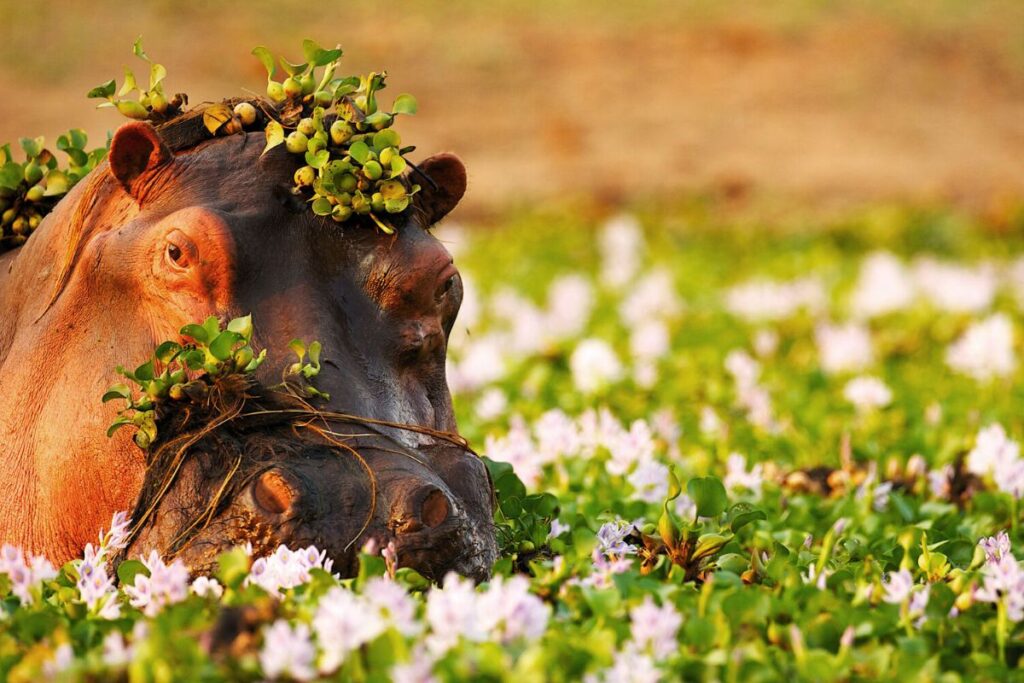 Riviera Travel Discovery Tours