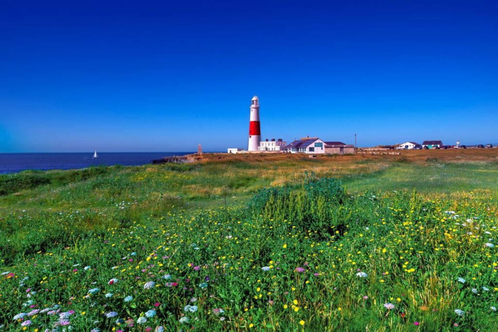 Solo Specialist UK tours