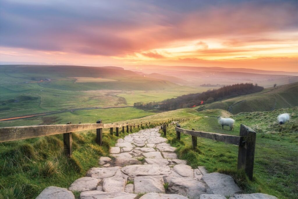 Solo Specialist UK tours