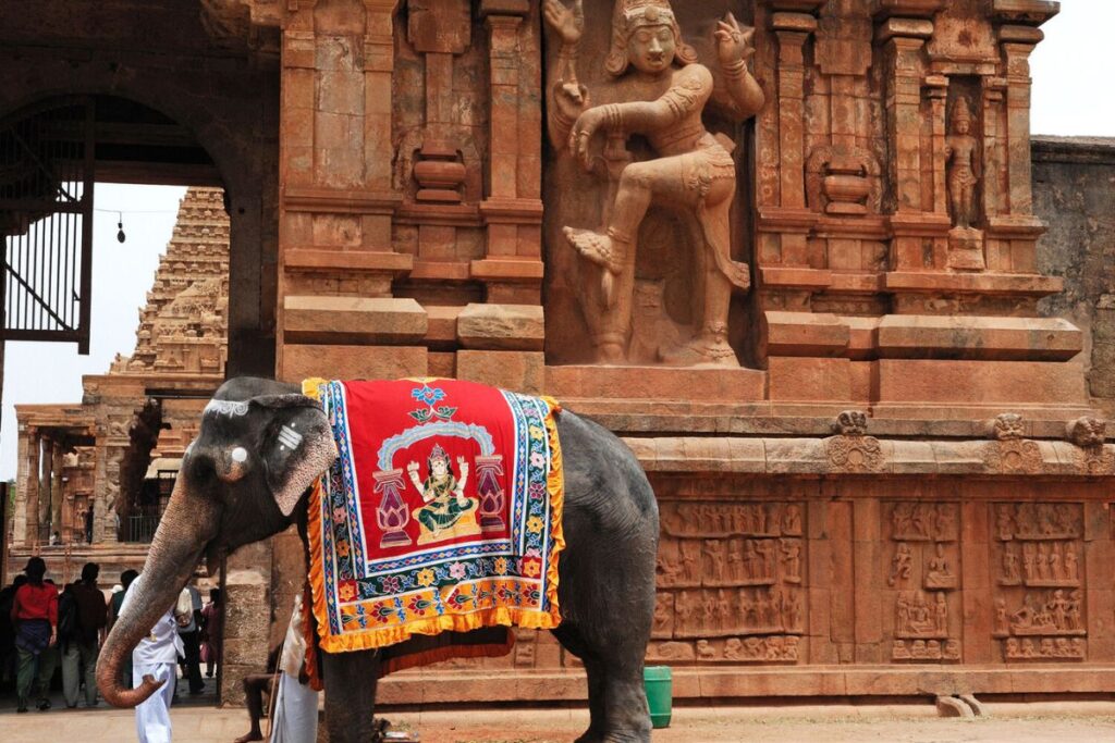 Riviera Travel Discovery Tours