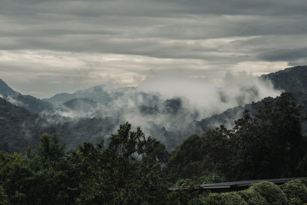 Silverback Lodge Uganda