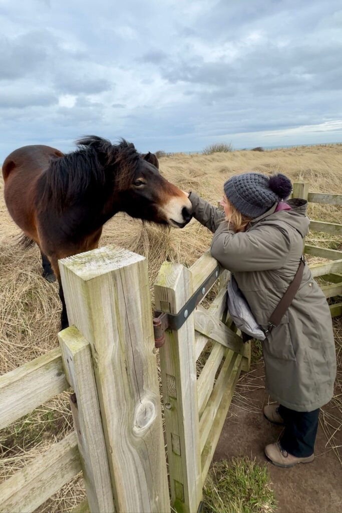 Northumberland and Seahouses