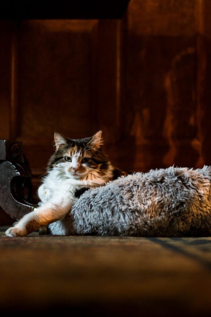 Armathwaite Hall in the Lake District