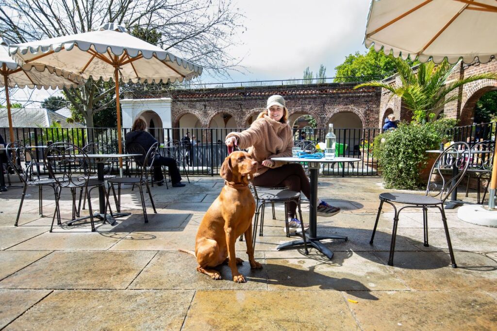 wellness week London