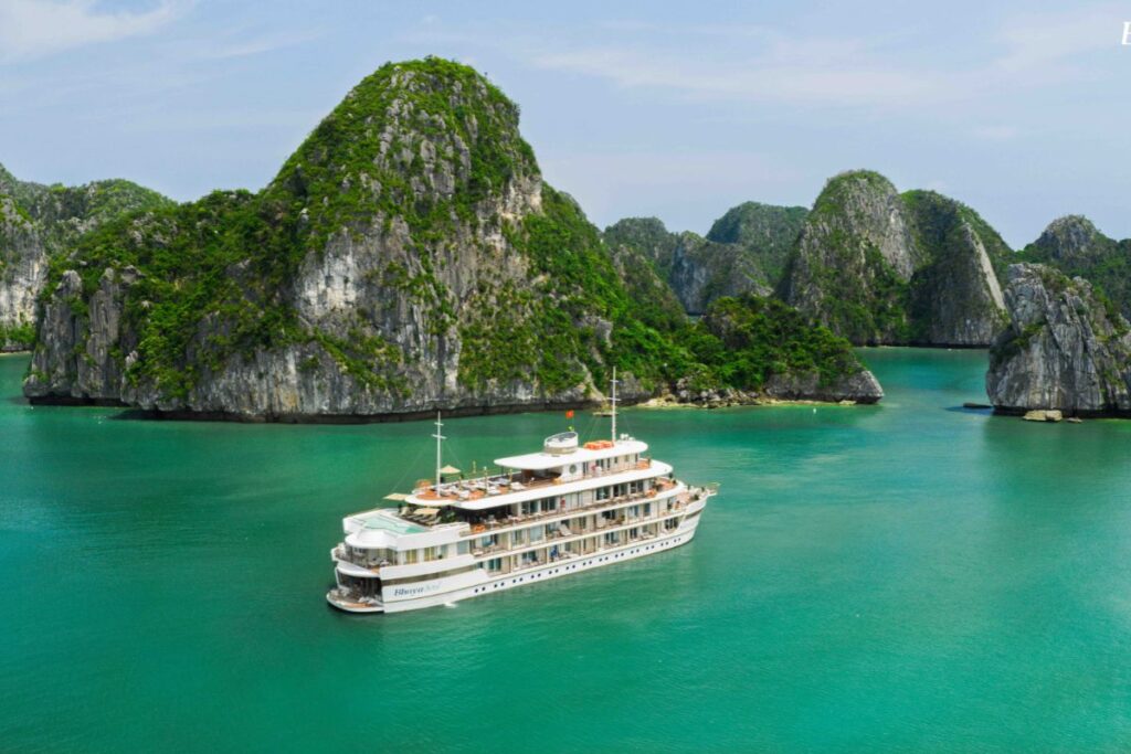 Bhaya Soul wellness cruises