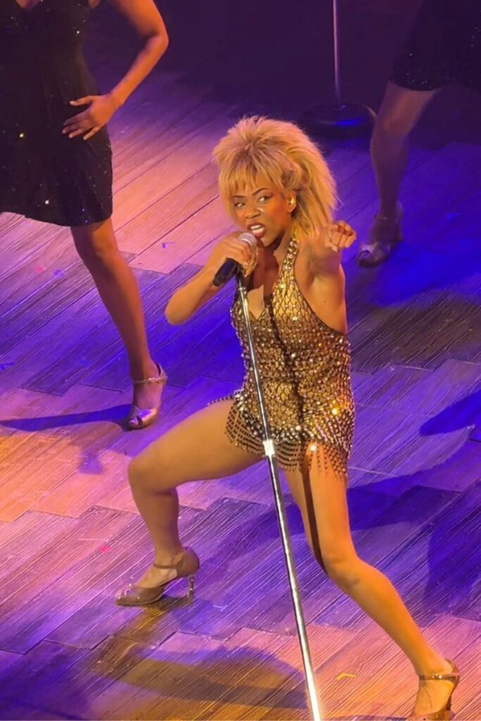 the Tina Turner musical