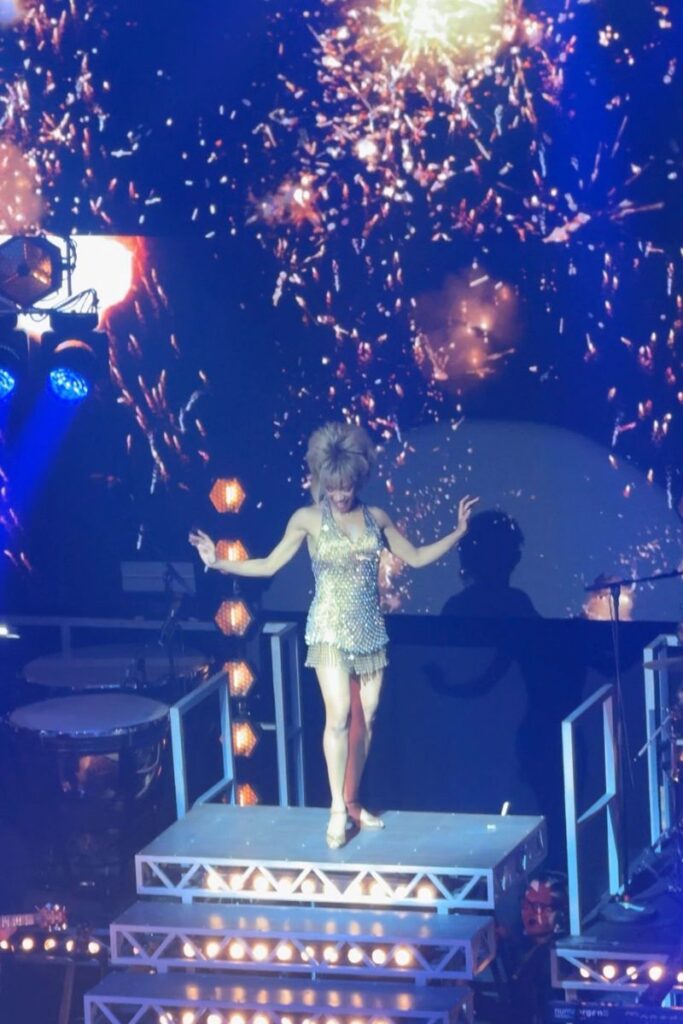 the Tina Turner musical