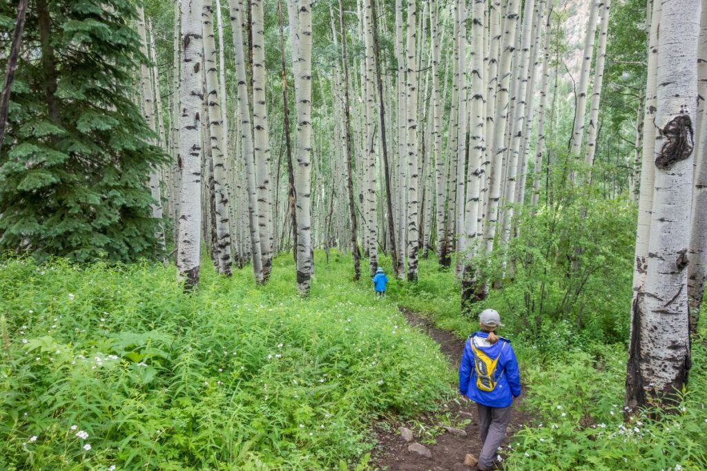 US walking holidays