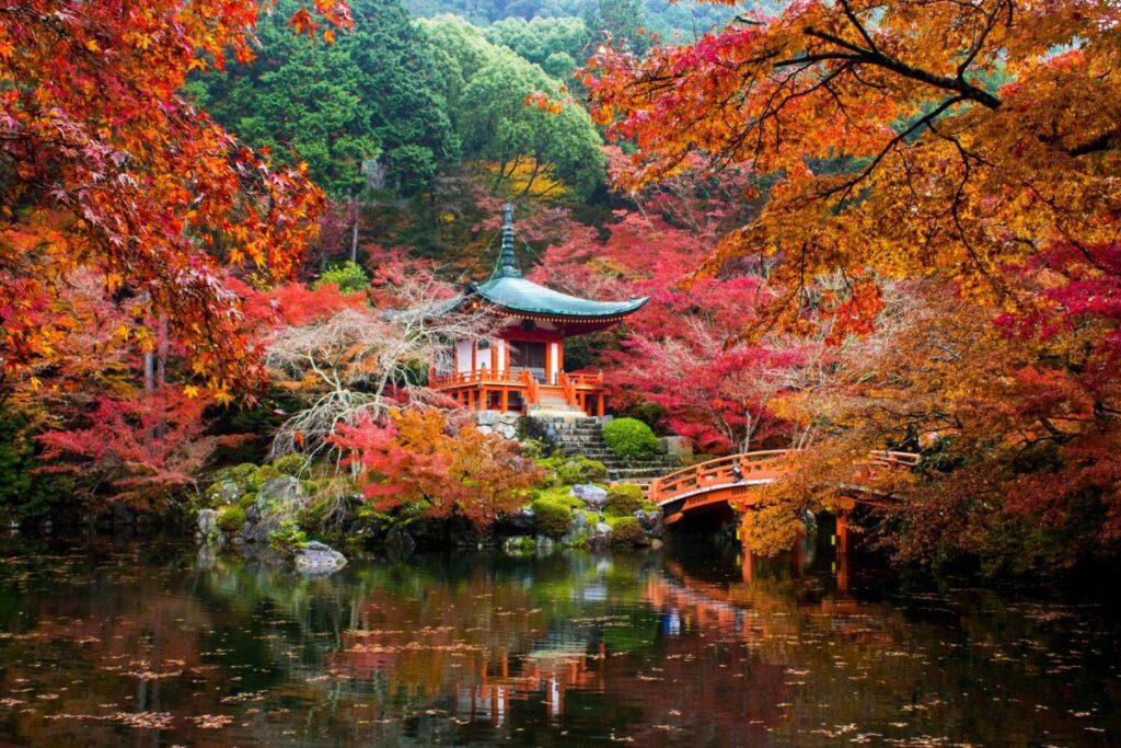 Dr Ranj on escorted tours in Japan