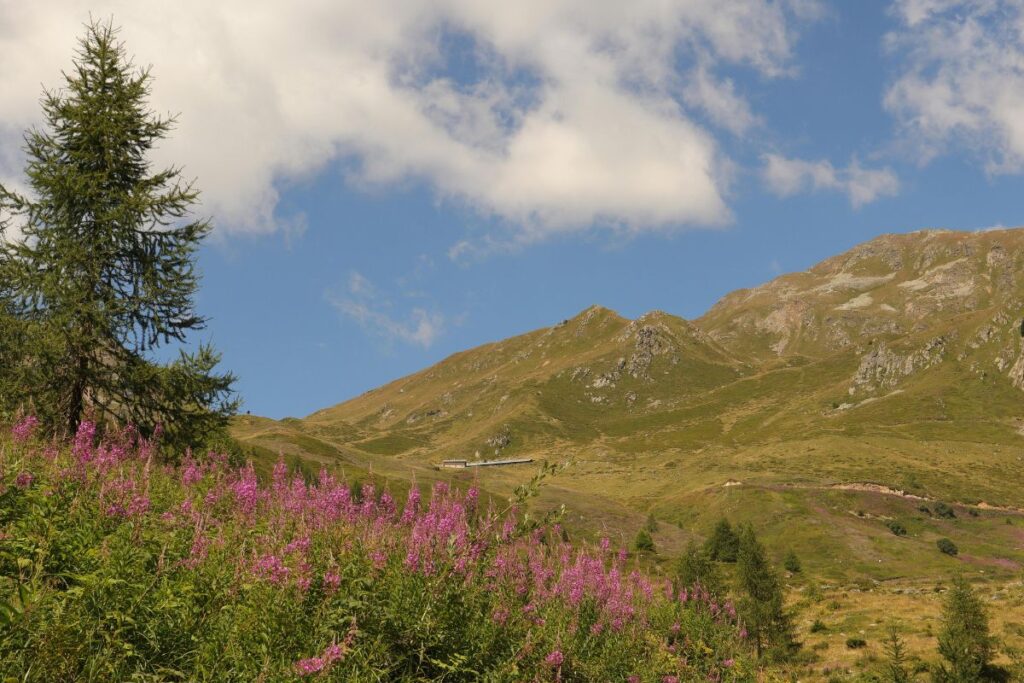 Verbier in summer