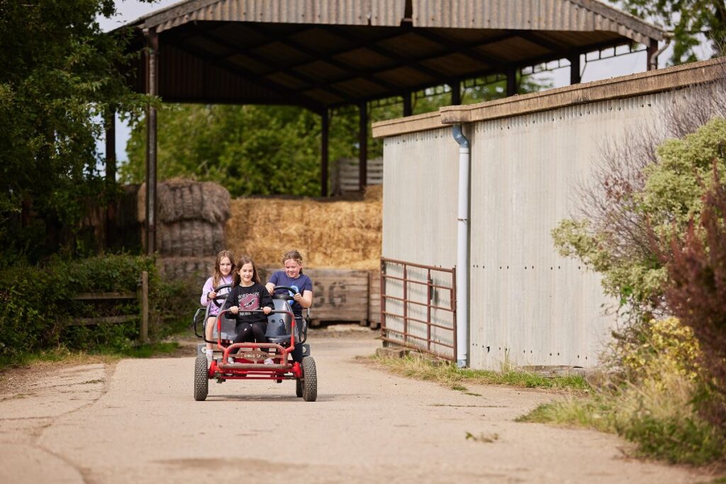 Feather Down Farms