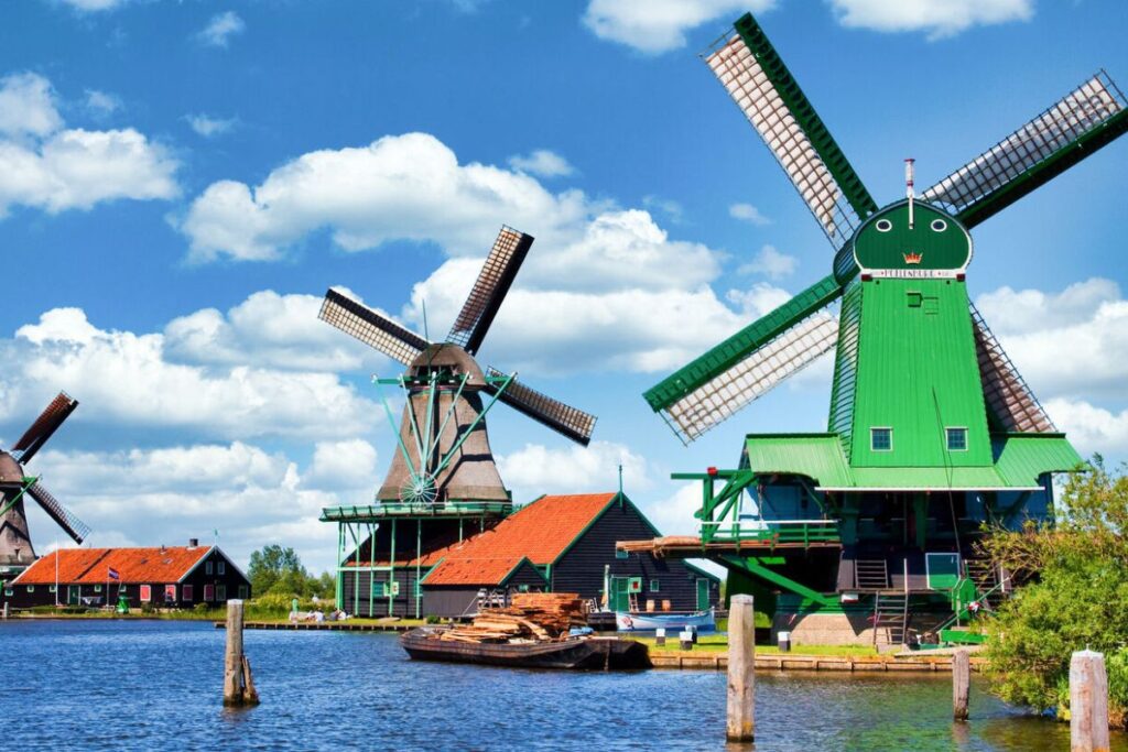 Dutch bloom season