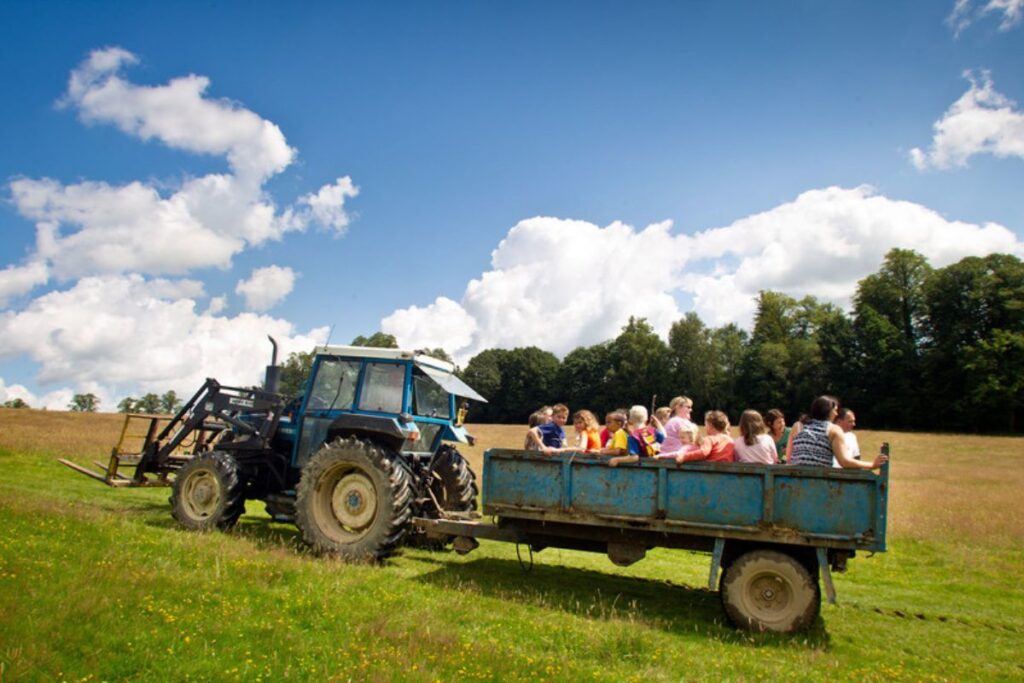 Feather Down Farms