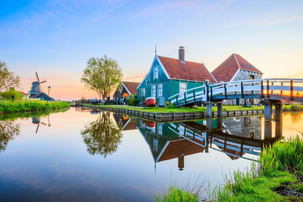 Dutch bloom season