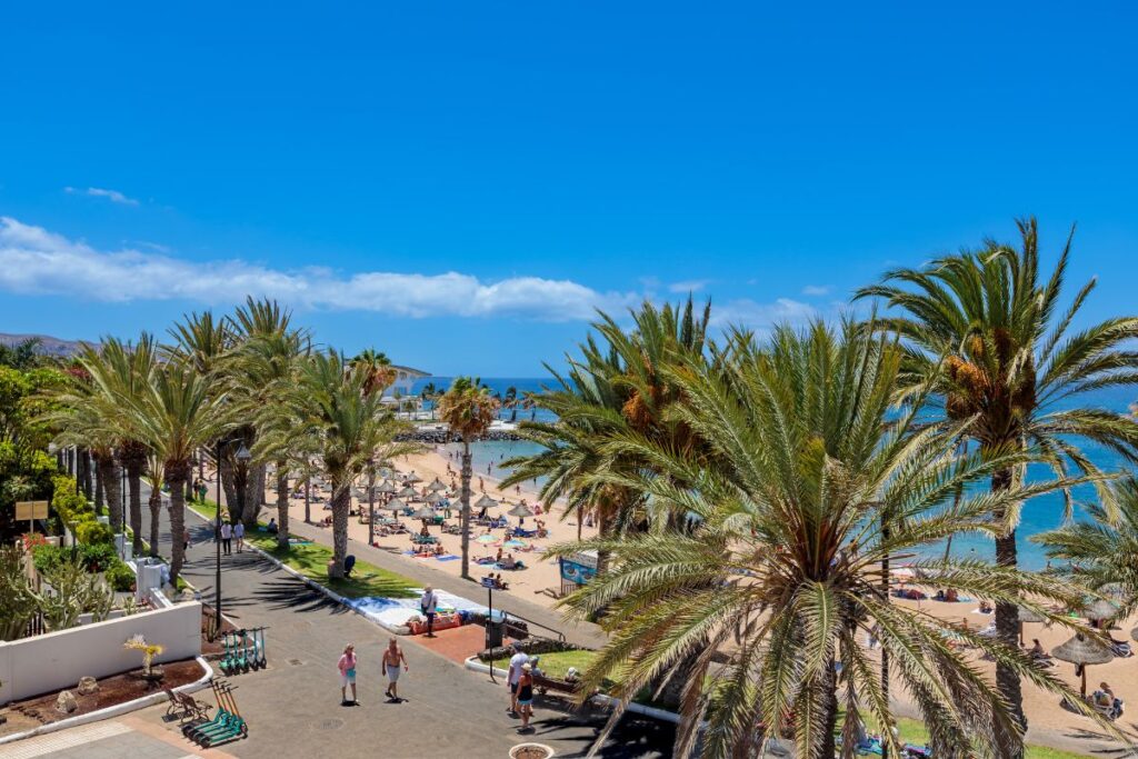 Tenerife in bloom
