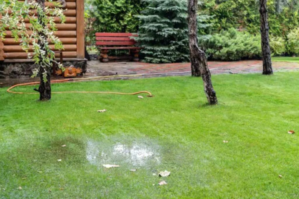 garden makeovers