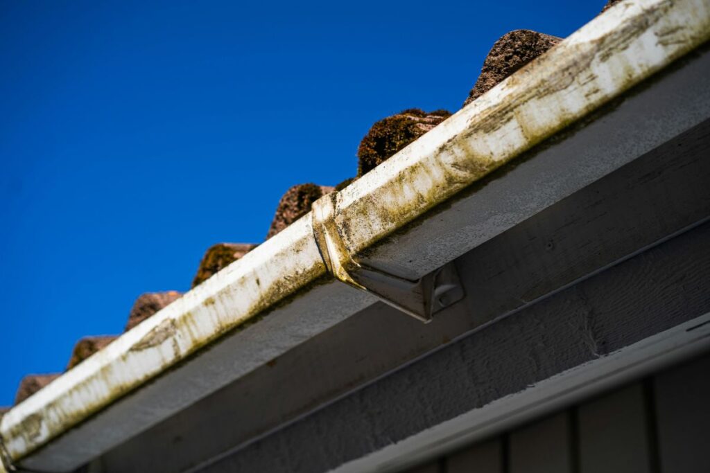home maintenance