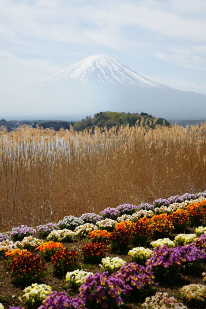 Dr Ranj on escorted tours in Japan