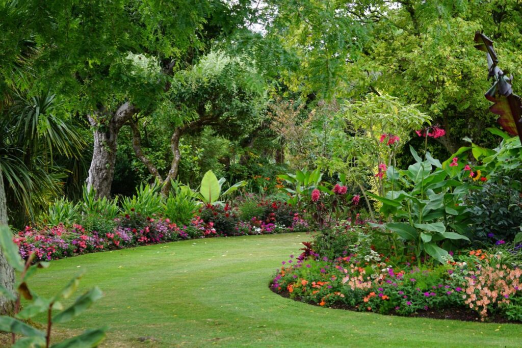 beautiful garden