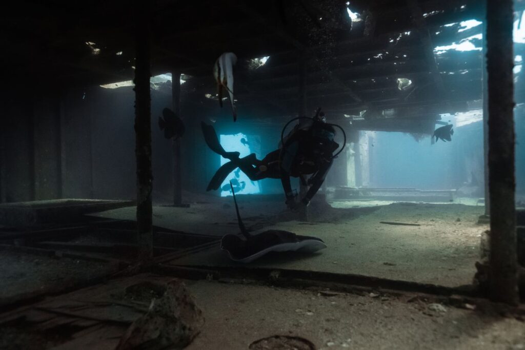 shipwreck diving in the Maldives